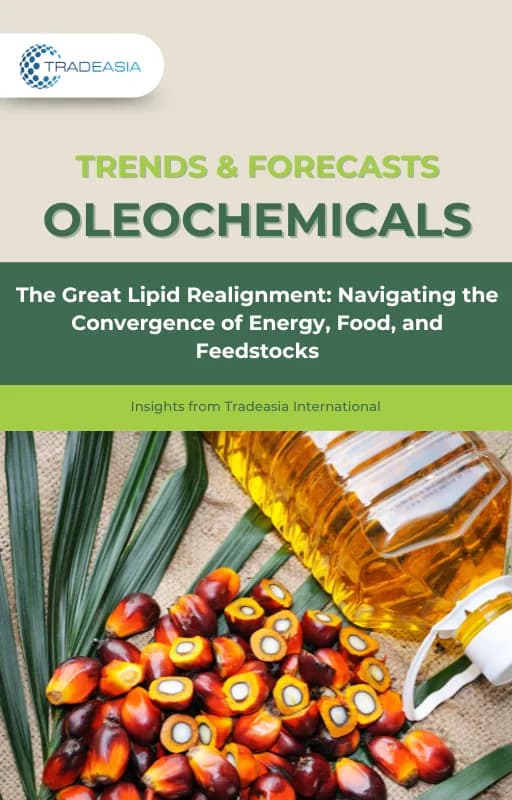 Navigating the Convergence of Energy, Food, and Feedstocks